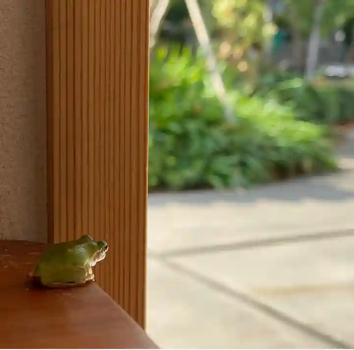 普元寺のその他建物