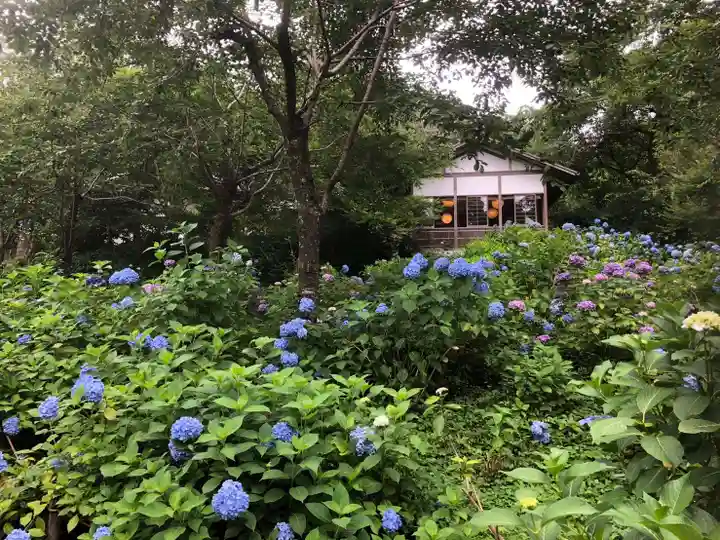 三千院門跡の自然