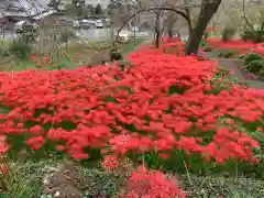 興徳寺の自然