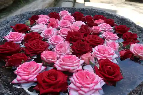 丹生都比売神社の手水舎