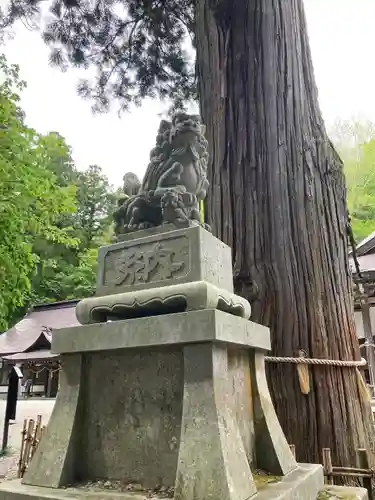 戸隠神社中社(長野県)