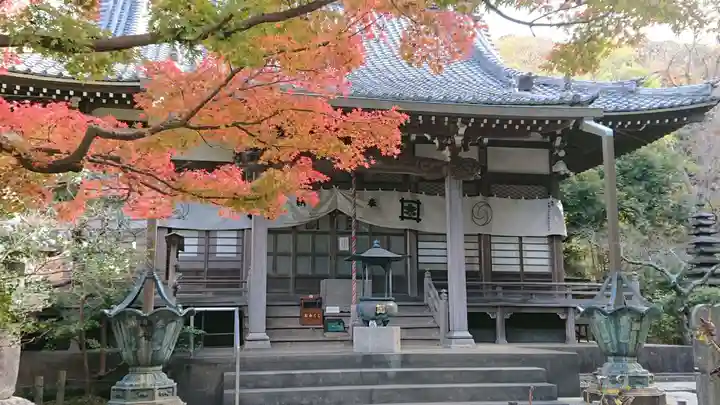 安國論寺(安国論寺)の本殿・本堂