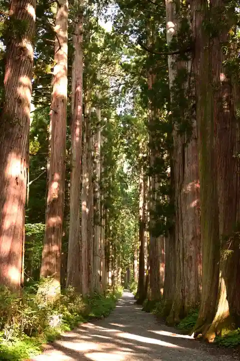 戸隠神社奥社(長野県)