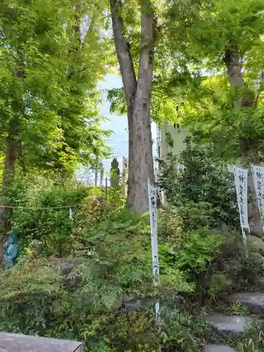 秩父今宮神社(埼玉県)