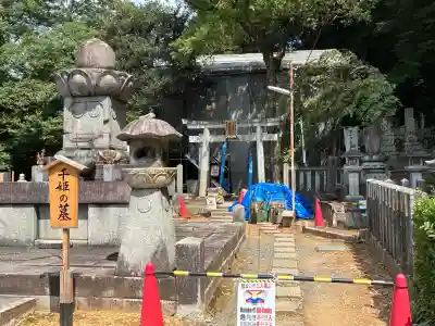 知恩院(京都府)