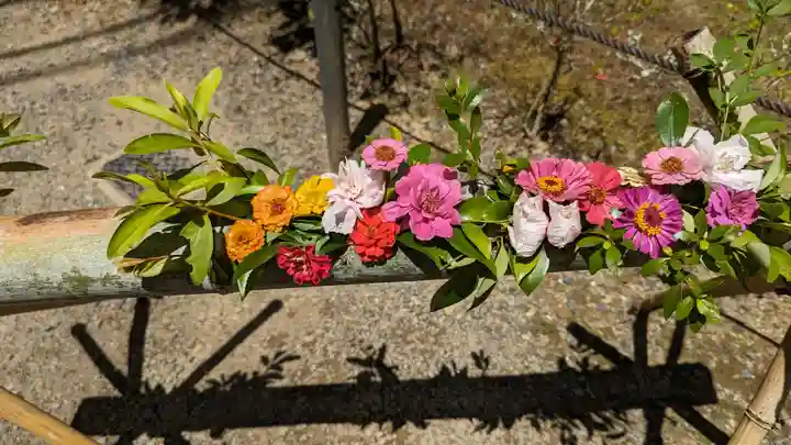 二尊院(京都府)