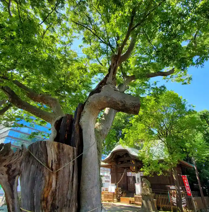 阿邪訶根神社(福島県)