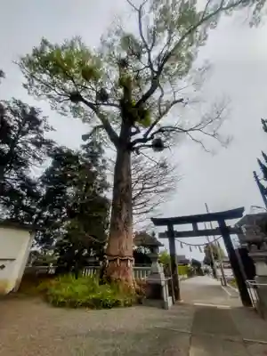 宗我神社(神奈川県)