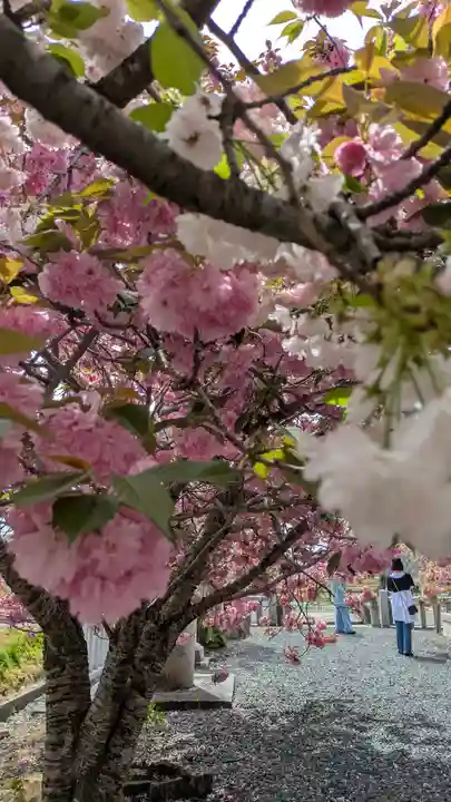 伊香具神社(滋賀県)