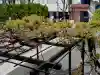 善國寺の{uncategorized: "未分類", other: "その他", undefined: "問題あり", building: "その他建物", grave: "お墓", sacred_gate: "鳥居", guardian: "狛犬", statue: "像", buddha: "仏像", history: "歴史", nature: "自然", garden: "庭園", animal: "動物", pagoda: "塔", temizu: "手水舎", mountain_gate: "山門・神門", sanctuary: "本殿・本堂", subordinate: "末社・摂社", art: "芸術", scenery: "景色", jizo: "地蔵", ema: "絵馬", goshuin: "御朱印", omikuji: "おみくじ", items: "授与品その他", amulet: "お守り", goshuincho: "御朱印帳", eats: "食事", festival: "お祭り", votive_dance: "神楽", shichigosan: "七五三参", wedding: "結婚式", experience: "体験その他", initially: "初詣", around: "周辺", anti_infection: "感染症対策"}
