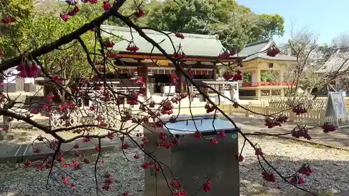 上地八幡宮の自然