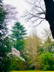 日先神社の自然