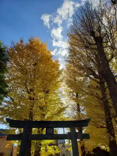 愛宕神社の自然