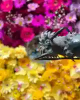 札幌諏訪神社の手水舎