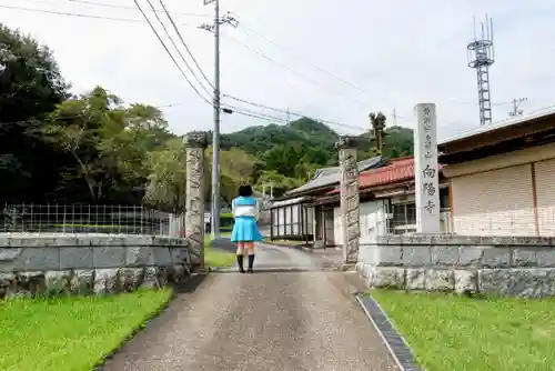 向陽寺の山門