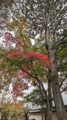 矢田天満宮の自然