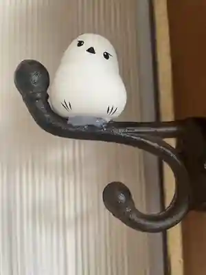 帯廣神社のおみくじ