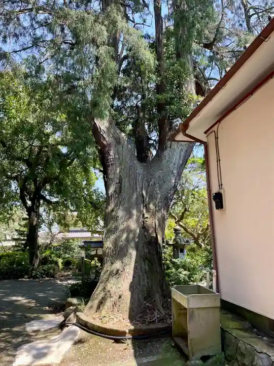 真福寺(神奈川県)