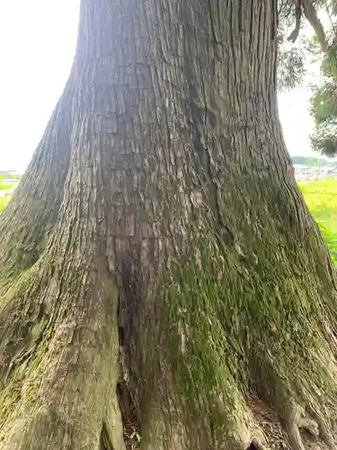 瀧泉神社(群馬県)