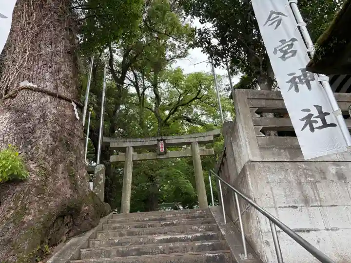 今宮神社の{uncategorized: "未分類", other: "その他", undefined: "問題あり", building: "その他建物", grave: "お墓", sacred_gate: "鳥居", guardian: "狛犬", statue: "像", buddha: "仏像", history: "歴史", nature: "自然", garden: "庭園", animal: "動物", pagoda: "塔", temizu: "手水舎", mountain_gate: "山門・神門", sanctuary: "本殿・本堂", subordinate: "末社・摂社", art: "芸術", scenery: "景色", jizo: "地蔵", ema: "絵馬", goshuin: "御朱印", omikuji: "おみくじ", items: "授与品その他", amulet: "お守り", goshuincho: "御朱印帳", eats: "食事", festival: "お祭り", votive_dance: "神楽", shichigosan: "七五三参", wedding: "結婚式", experience: "体験その他", initially: "初詣", around: "周辺", anti_infection: "感染症対策"}