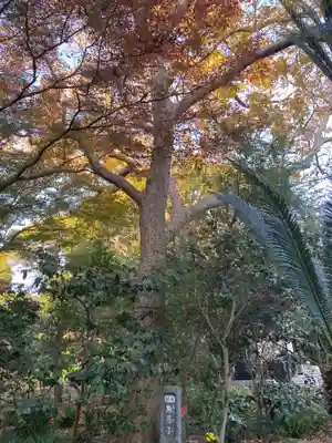 宝戒寺(神奈川県)