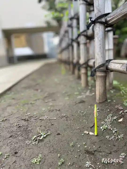 福王山 慈眼寺の自然