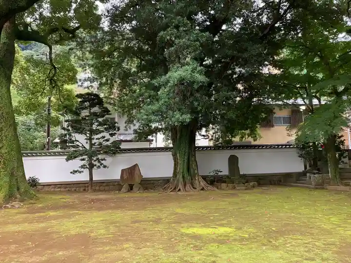 早雲寺(神奈川県)