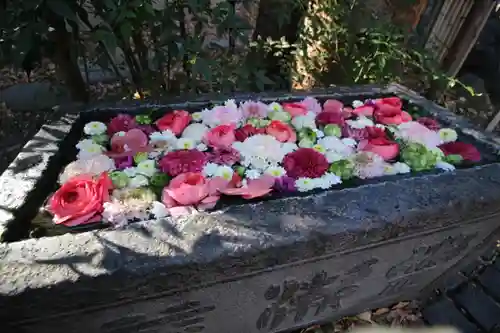 行田八幡神社(埼玉県)