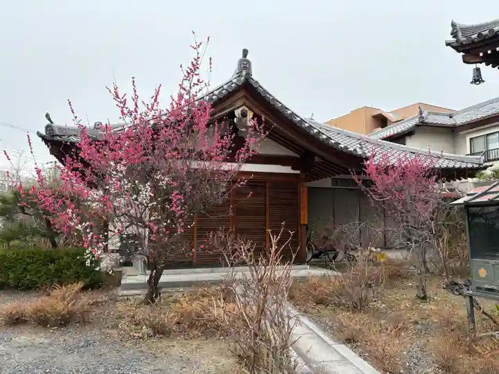 蓮花寺(大阪府)