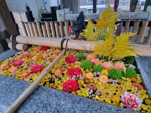 高円寺氷川神社の手水