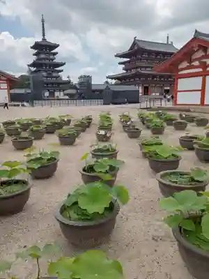 薬師寺(奈良県)