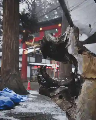 伊佐須美神社(福島県)