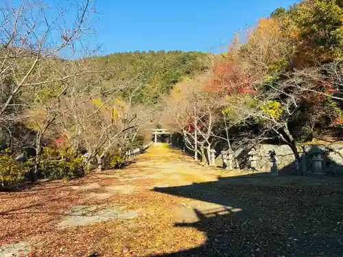 箸蔵寺(徳島県)