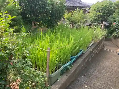 横浜御嶽神社(神奈川県)