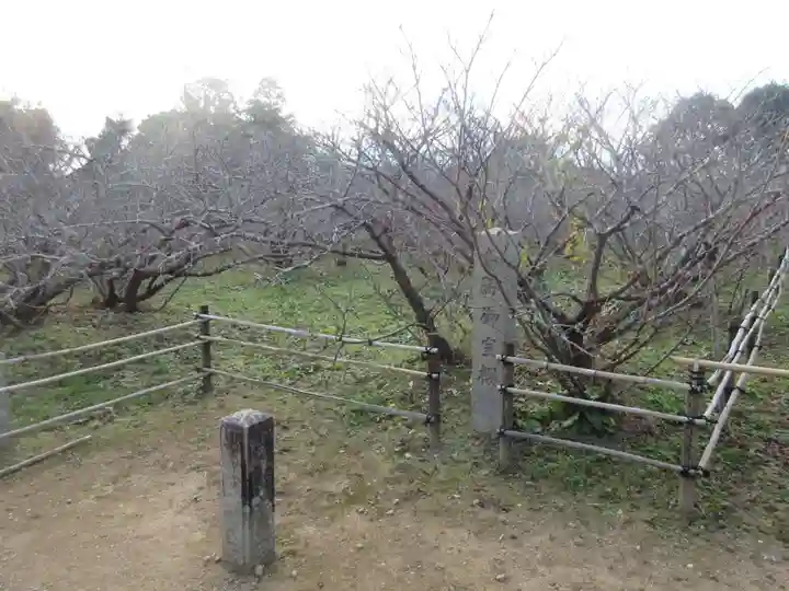 仁和寺(京都府)