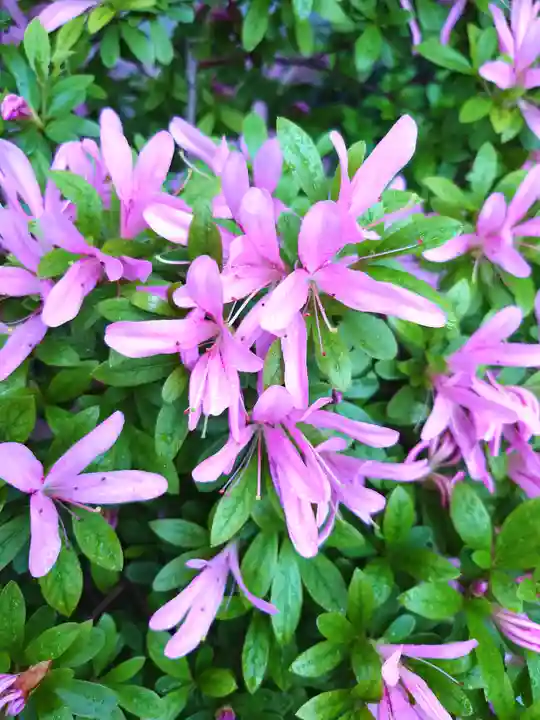 阿邪訶根神社(福島県)