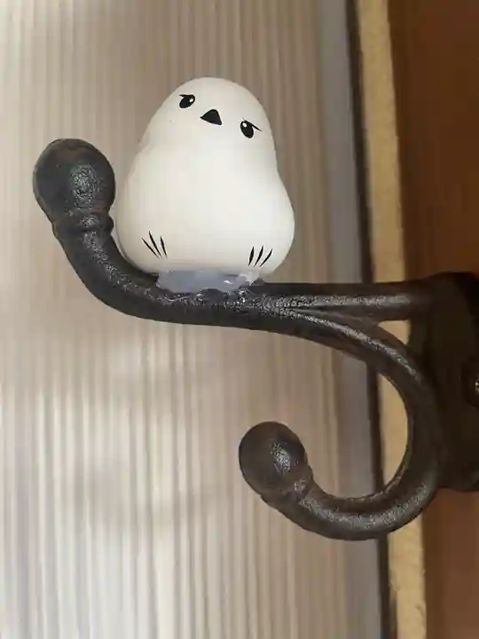 帯廣神社のおみくじ