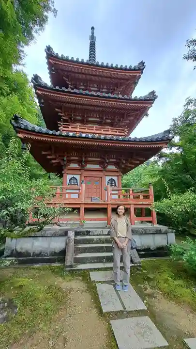 三室戸寺(京都府)