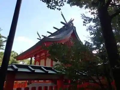 東伏見稲荷神社の本殿・本堂