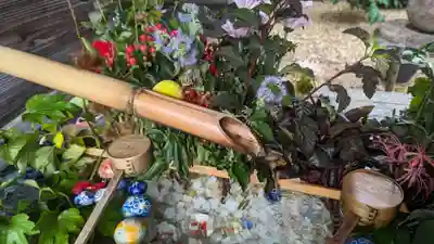 勝林寺(京都府)