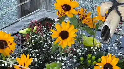 成田山川越別院の手水舎