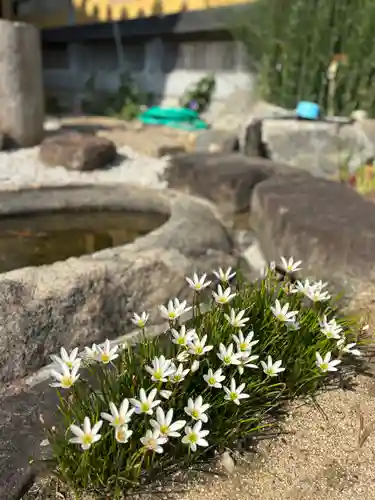 潮音寺(兵庫県)