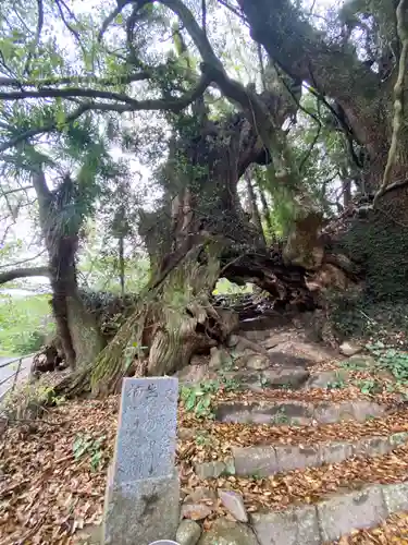 大山祇神社奥の院 生樹の御門(愛媛県)