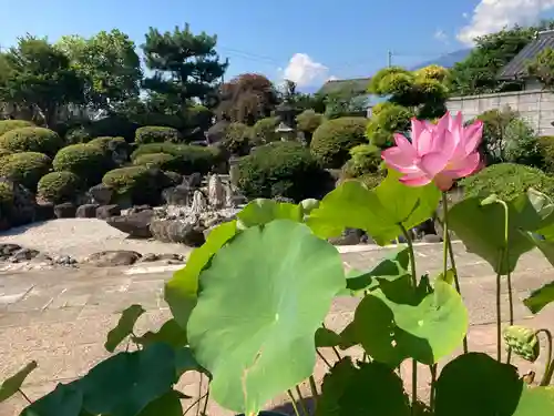 松雲寺(山梨県)