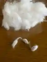 總社 和田八幡宮(福井県)