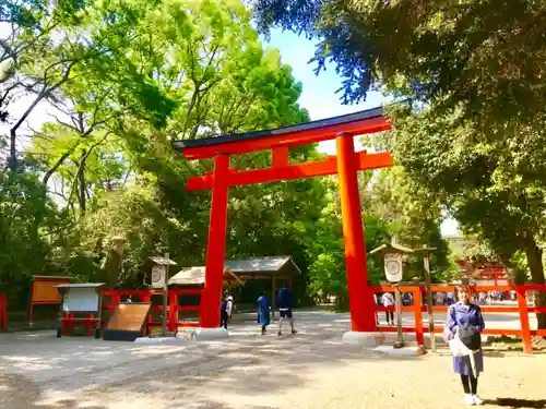 賀茂御祖神社（下鴨神社）の鳥居