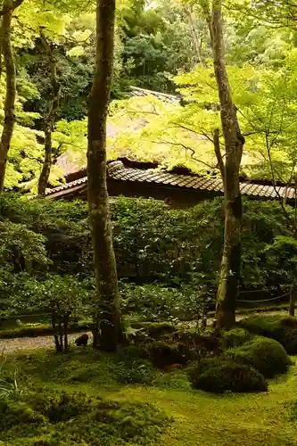 祇王寺(京都府)