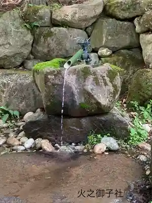 戸隠神社火之御子社の手水舎