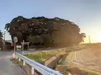 氷上八幡神社(香川県)