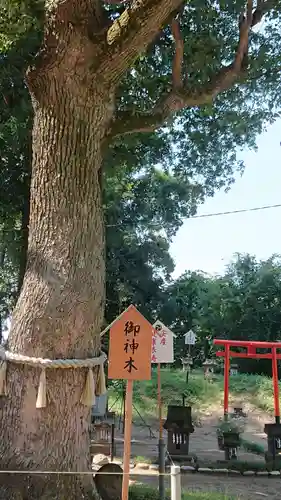 飯福神社の自然